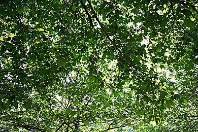 《开拓无人岛 》确定12月2日登陆Switch 建设探险抓怪兽