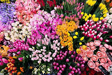 《消逝的光芒2》新游戏+4＆27推出 增加传奇武器